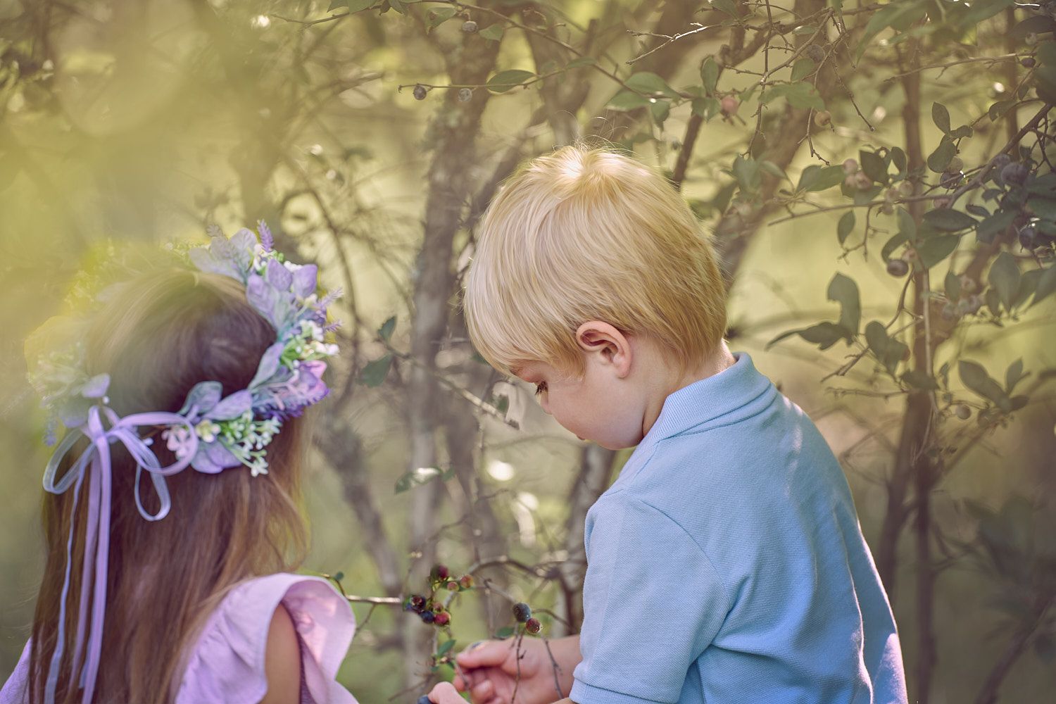 Toddler-boy-and-girl-in-an-ethereal-image-picking-blueberries