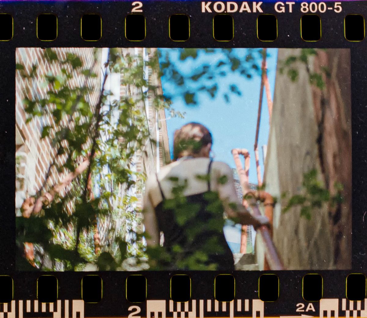 35mm film slide of a woman walking up the steps of a brick building