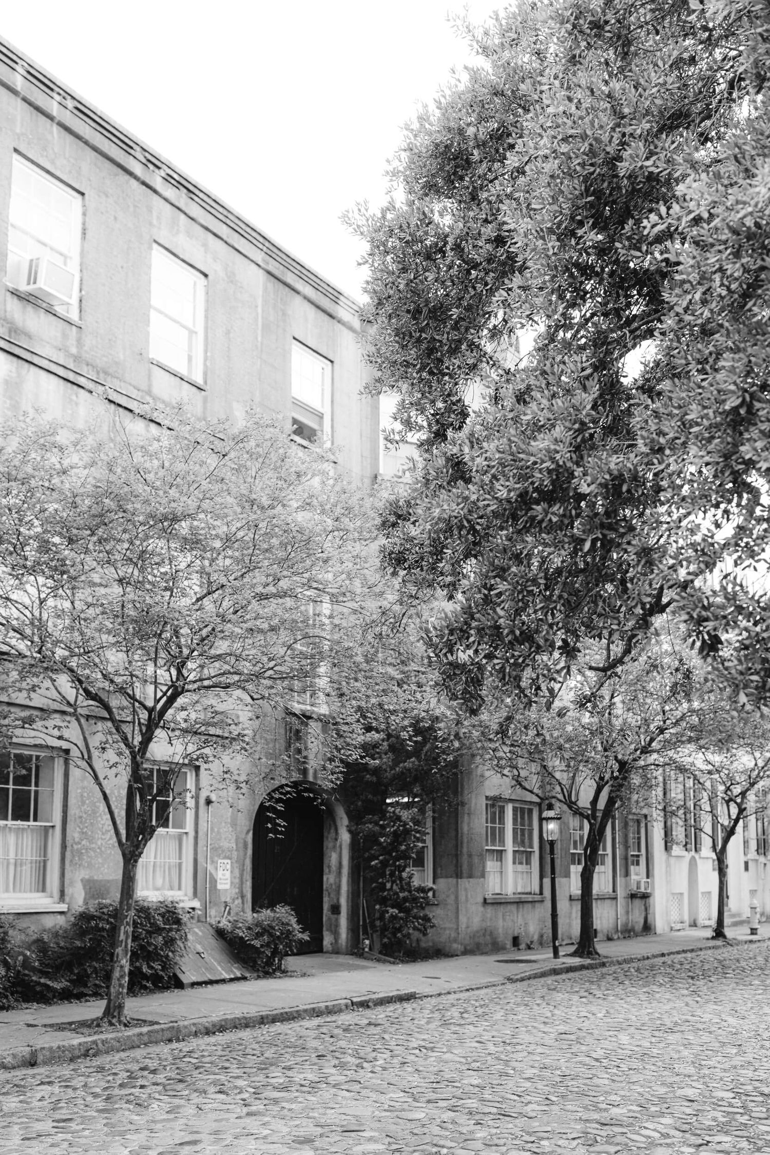Historic brick building with classic architecture and trees along a cobblestone street.