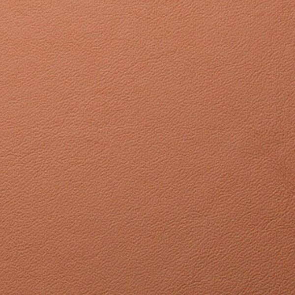 Tan leather material with pebbled surface texture.
