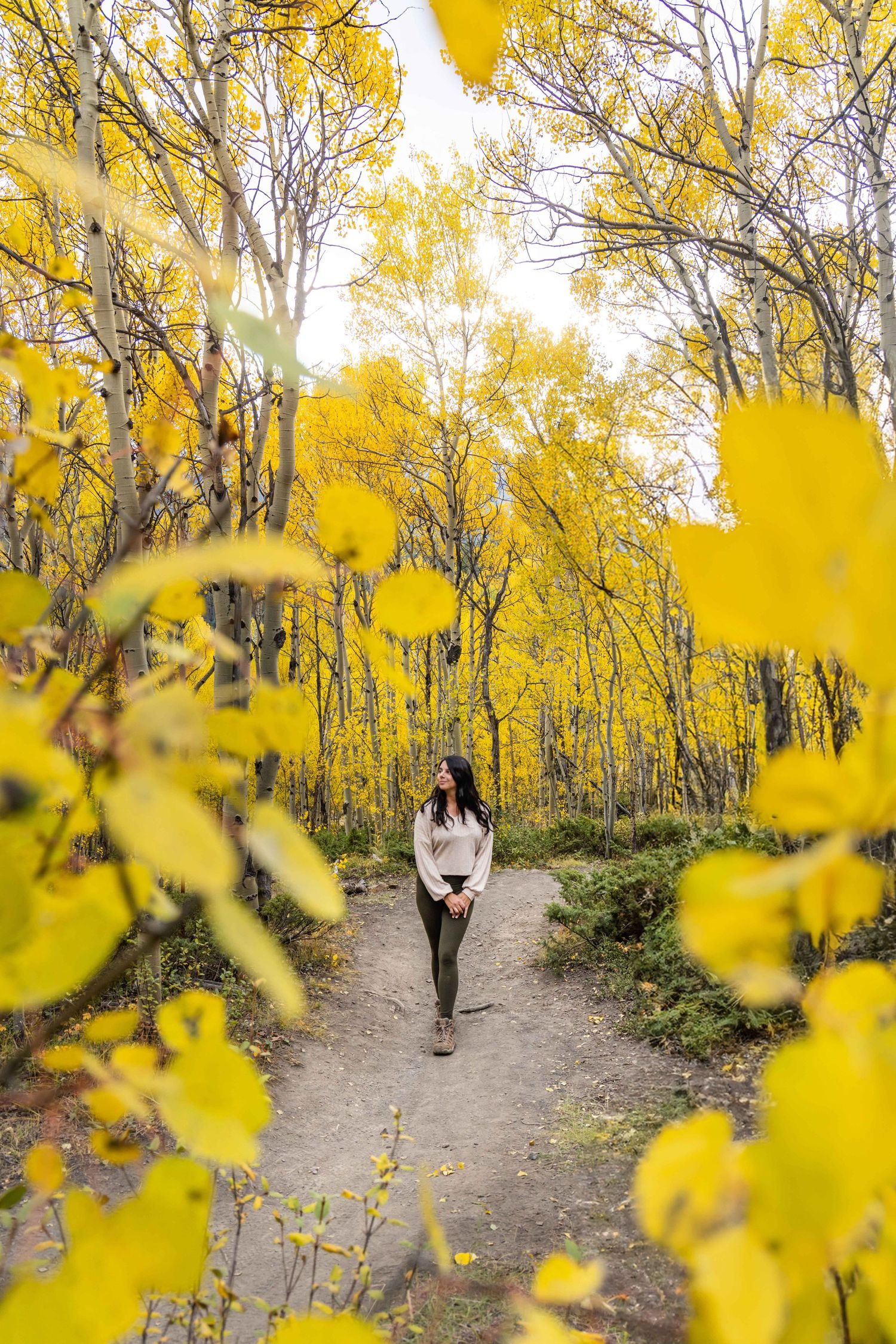 Fall in Breckenridge Colorado
