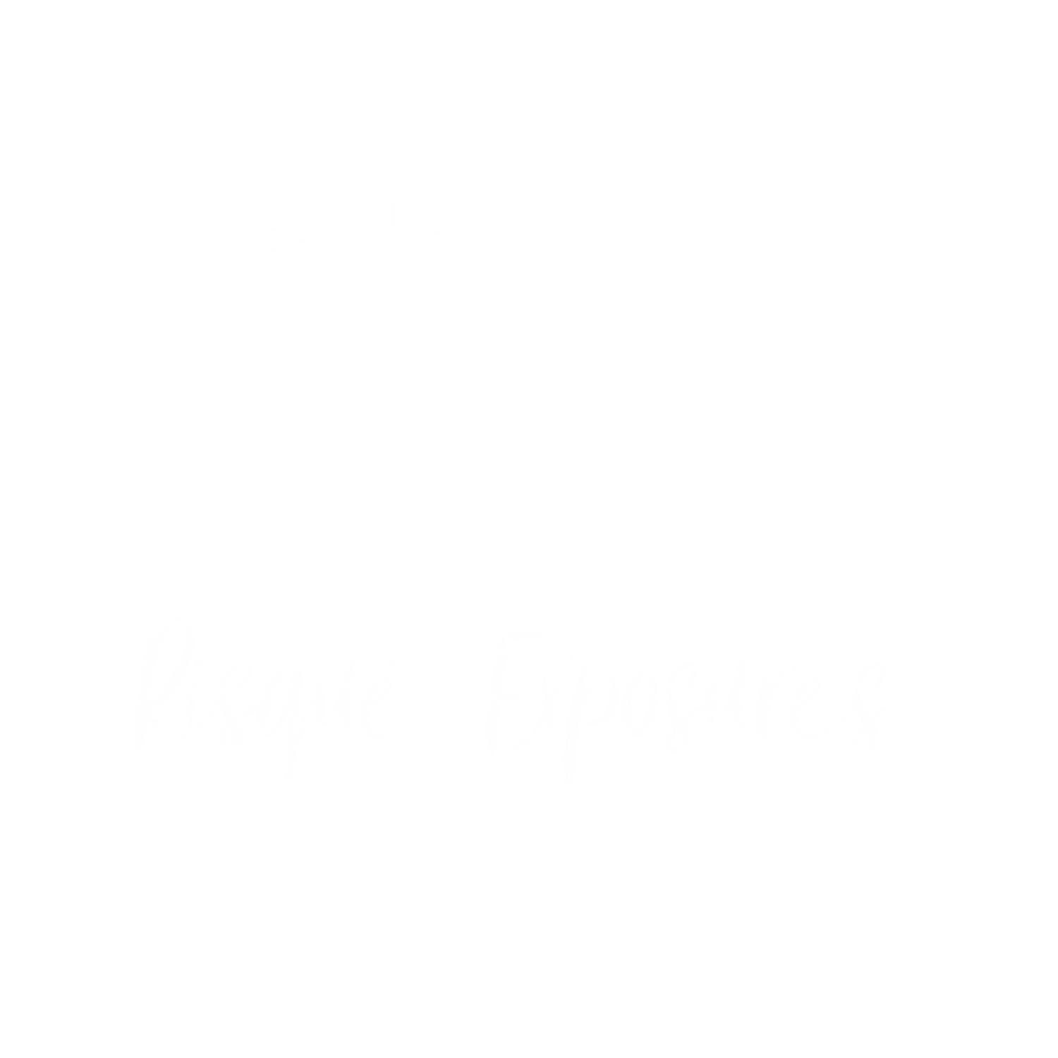 Risque Exposures Greeley Colorado Top Rated Boudoir and Erotica Photographers in Colorado
