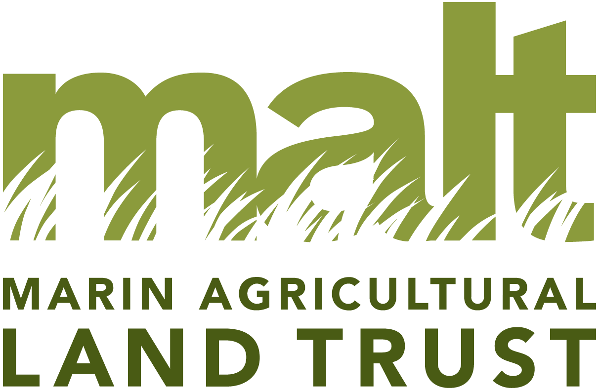 Logo for Marin Agricultural Land Trust featuring green text with grass silhouettes at the bottom.