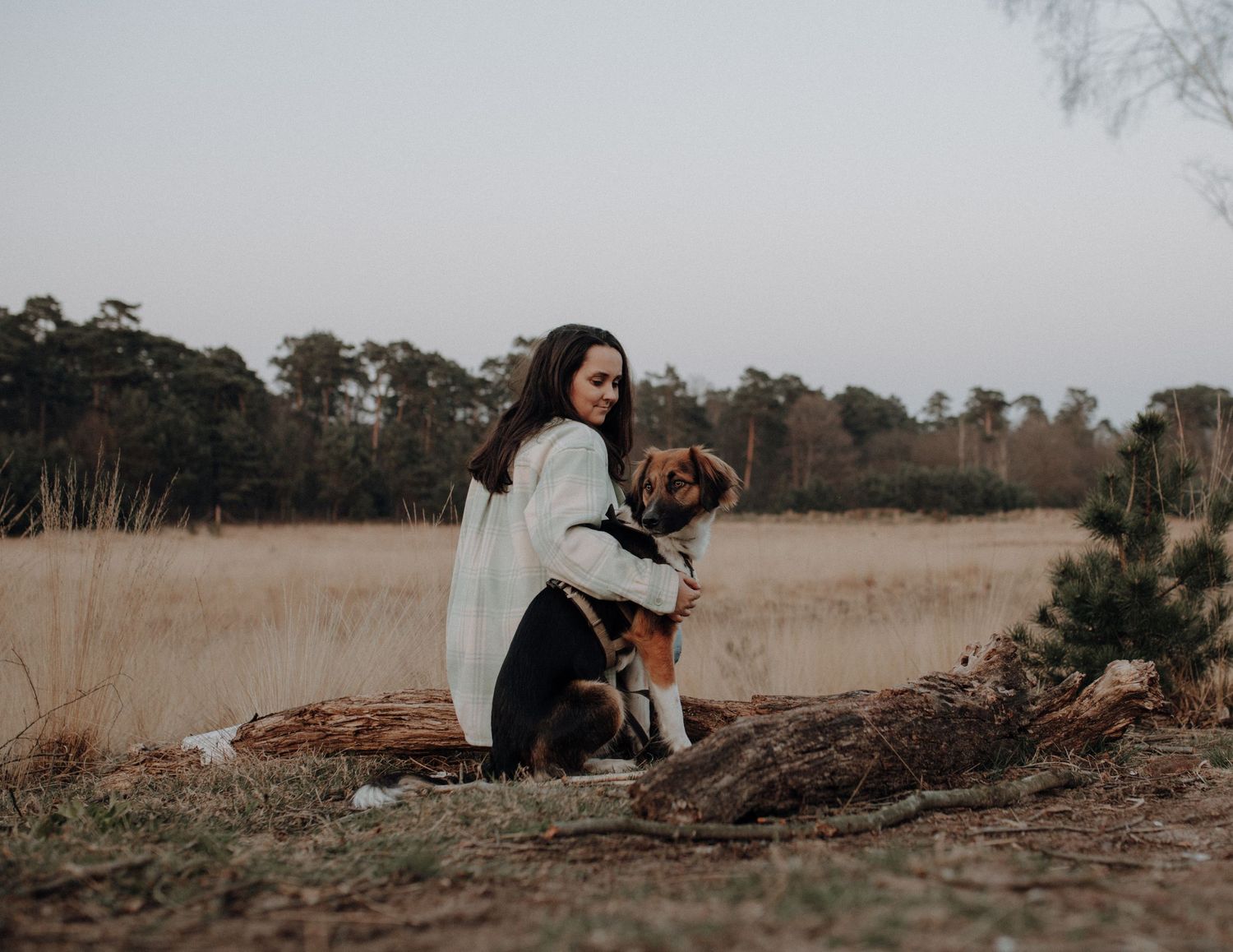 Woman cuddling her beagle dog while sitting on a log in an open field.