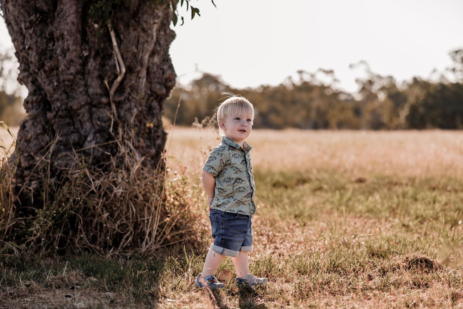 A small child stands near a gnarled tree trunk in an open field during golden hour.
