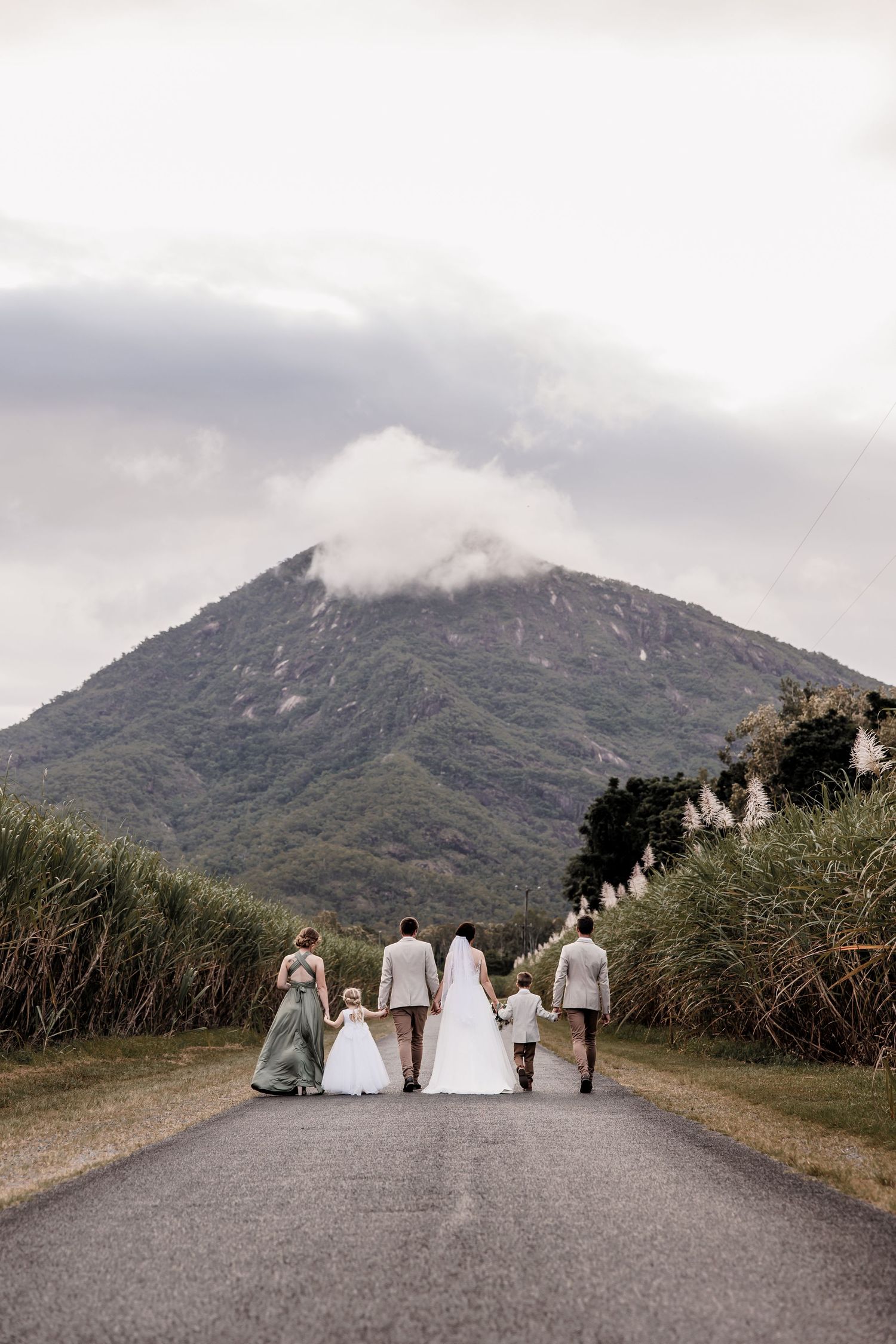 Wedding party walks down country road with misty mountain vista in the background.