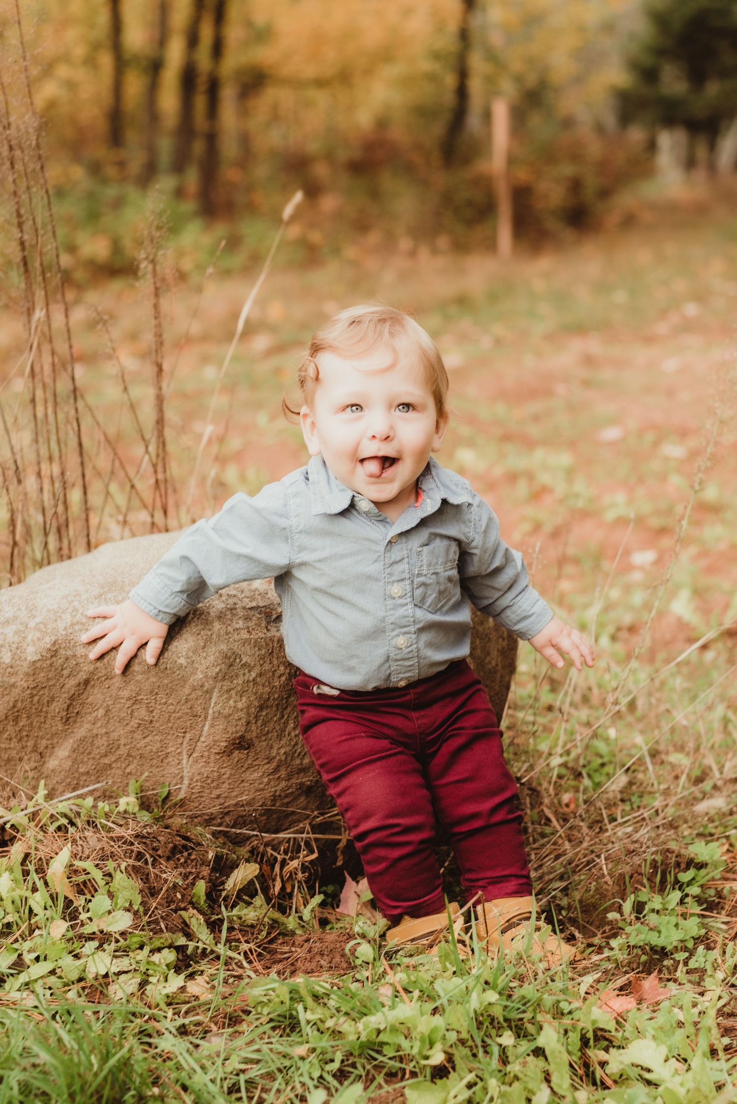Milestone Photography, 3 months photographer, 6 months photographer, 9 months photographer, 12 months photographer, one 