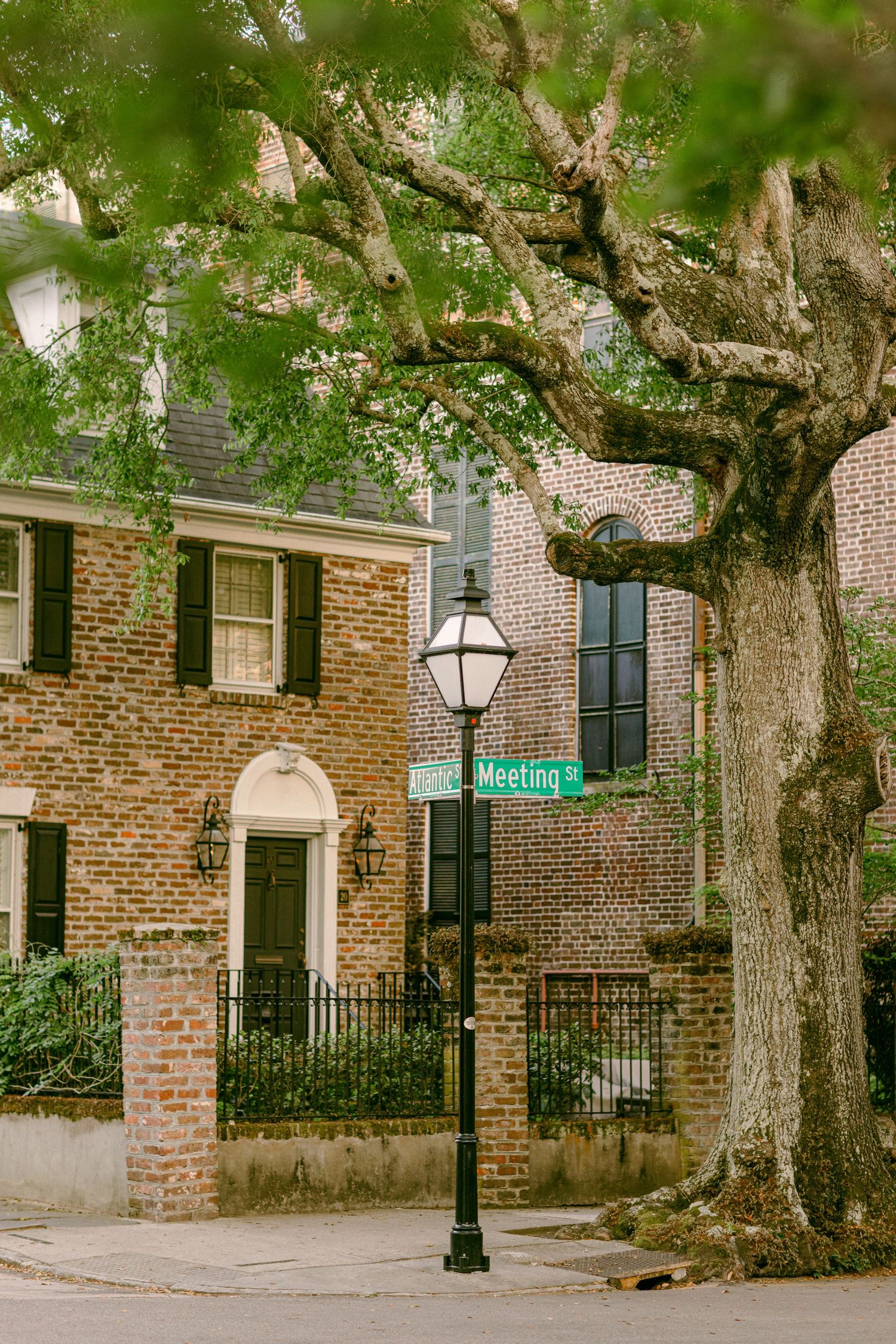 Historic brick townhouse with large oak tree and vintage street lamp on a Charleston street corner.