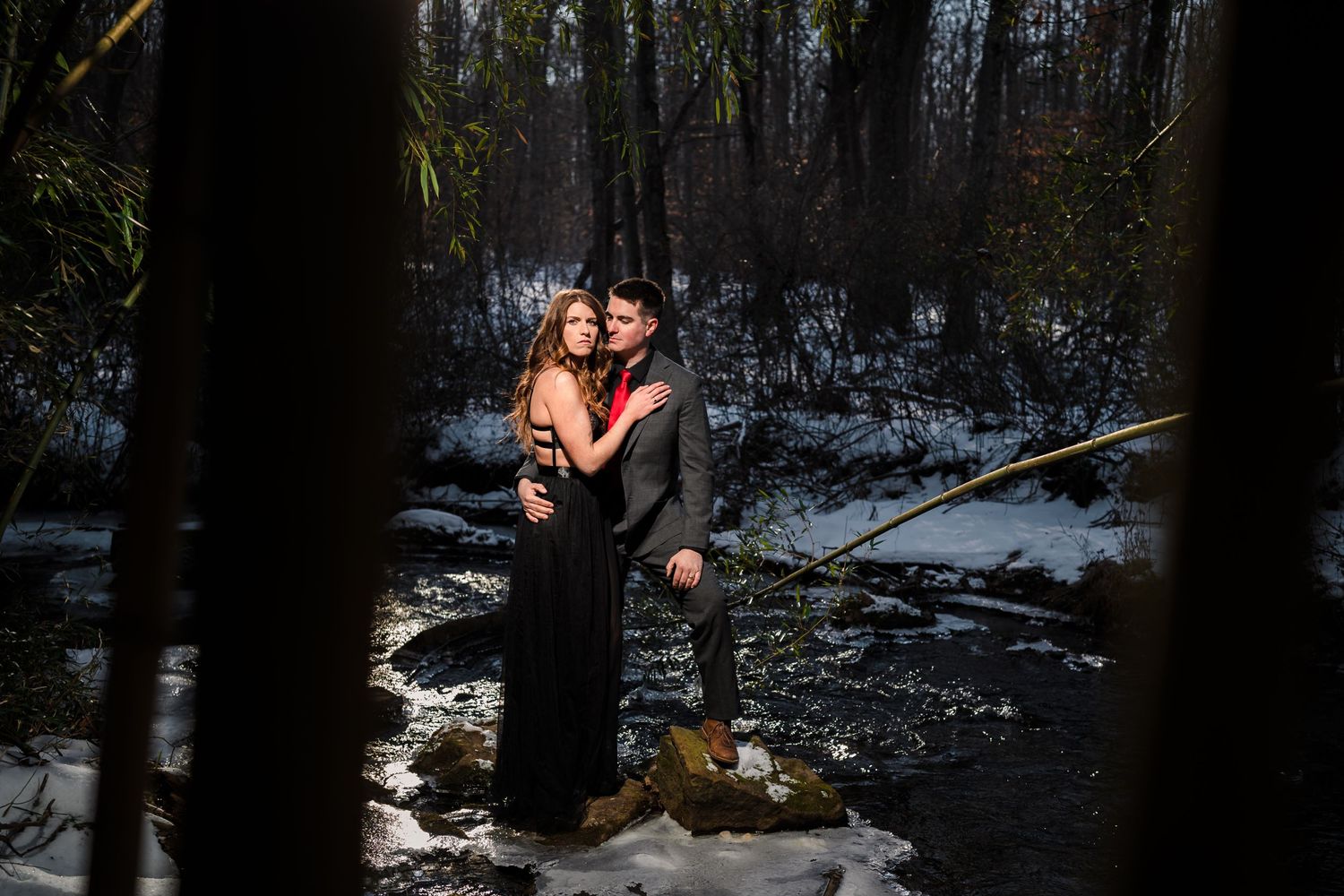 A romantic winter forest scene with snow-covered ground and dark tree silhouettes.