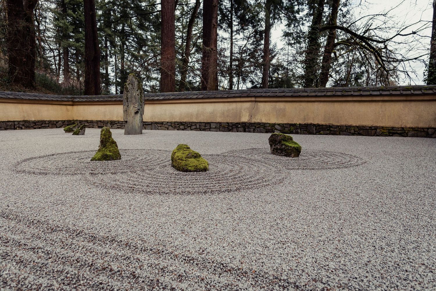 Investment page - image of zen garden