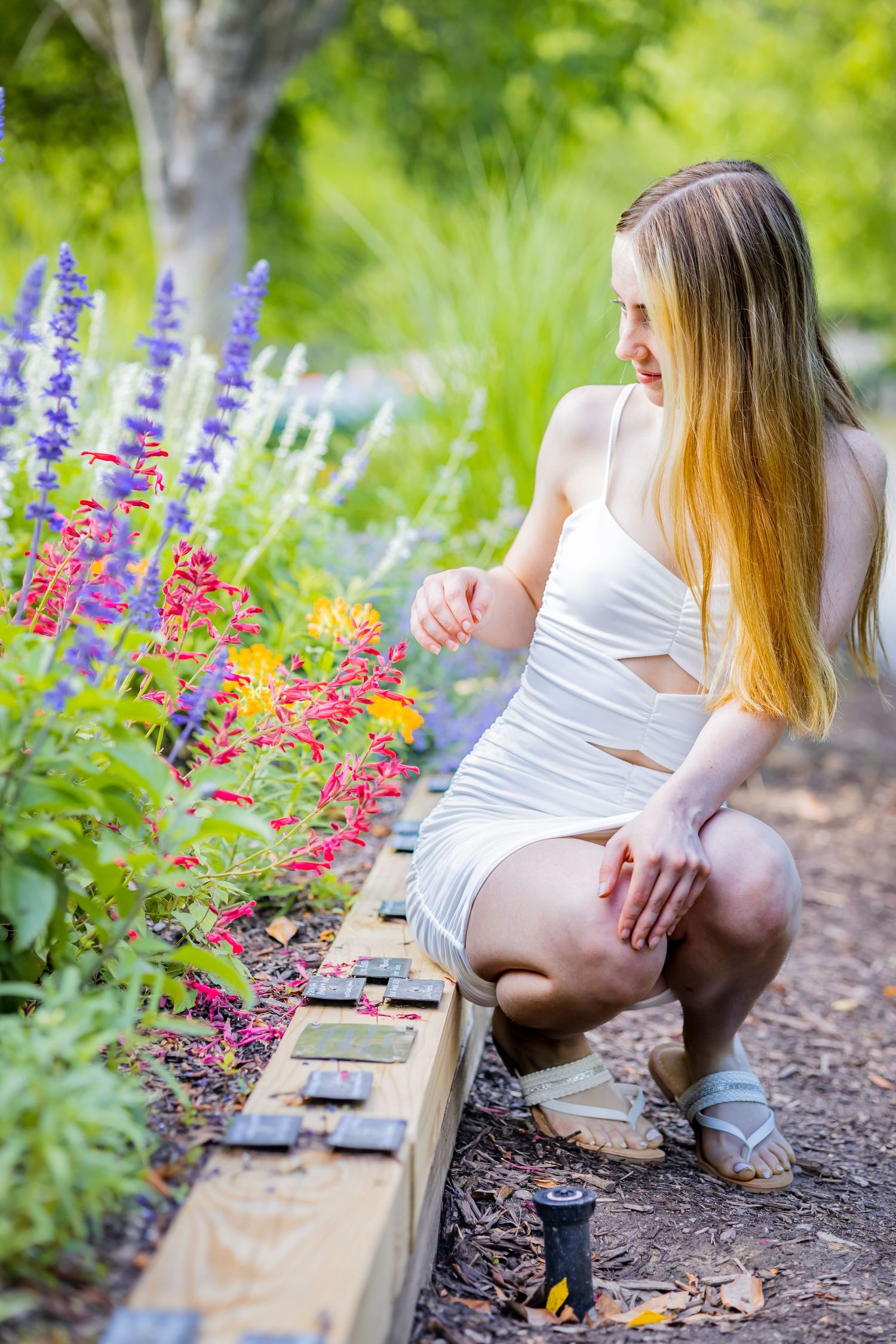 Woman in white dress crouches by colorful flower garden with lupines and pink blooms.