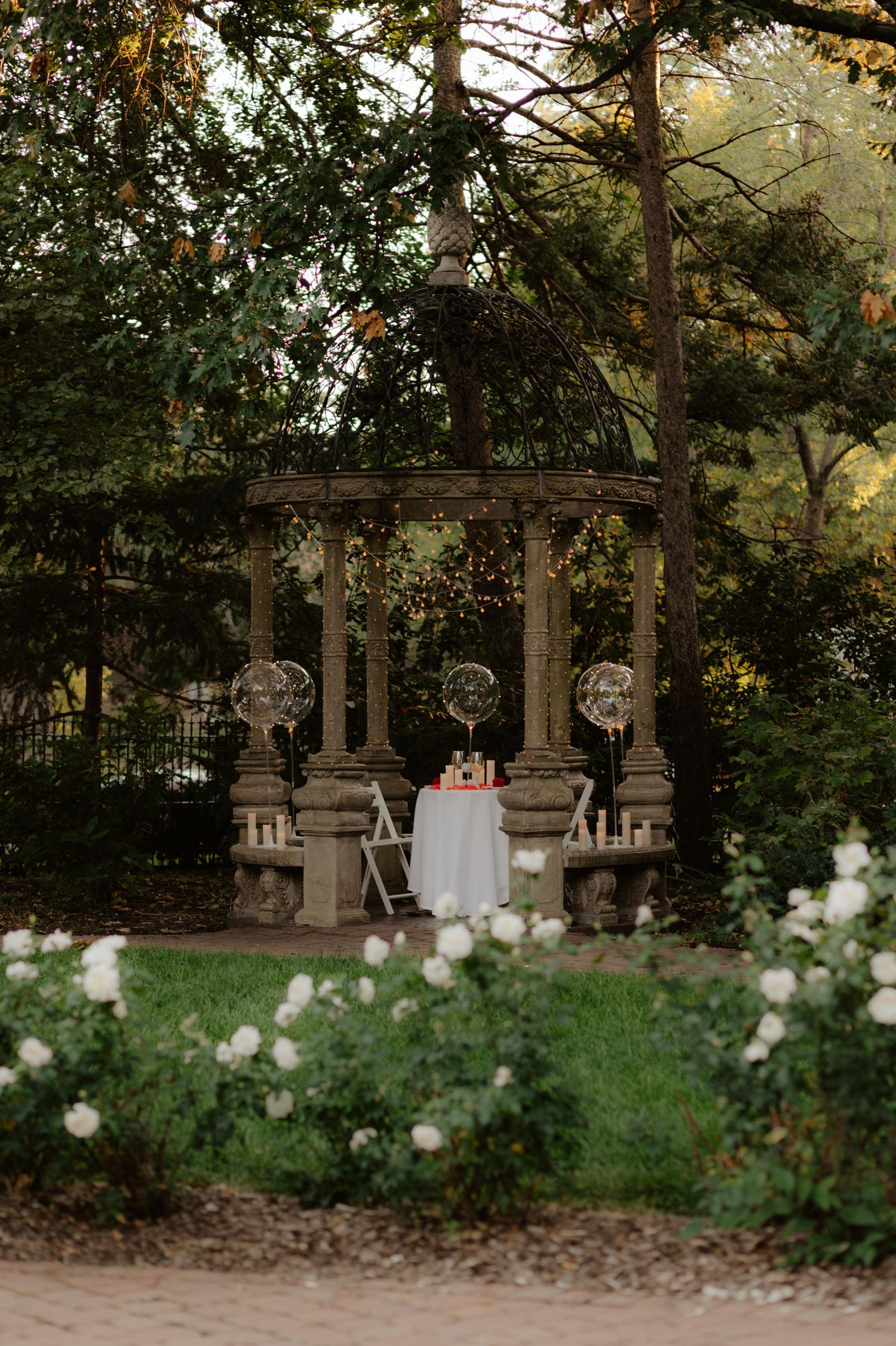 hazel abel, hazel abel lincoln ne, proposal inspo, proposal ideas, proposal lincoln ne, proposal photos lincoln ne, irin