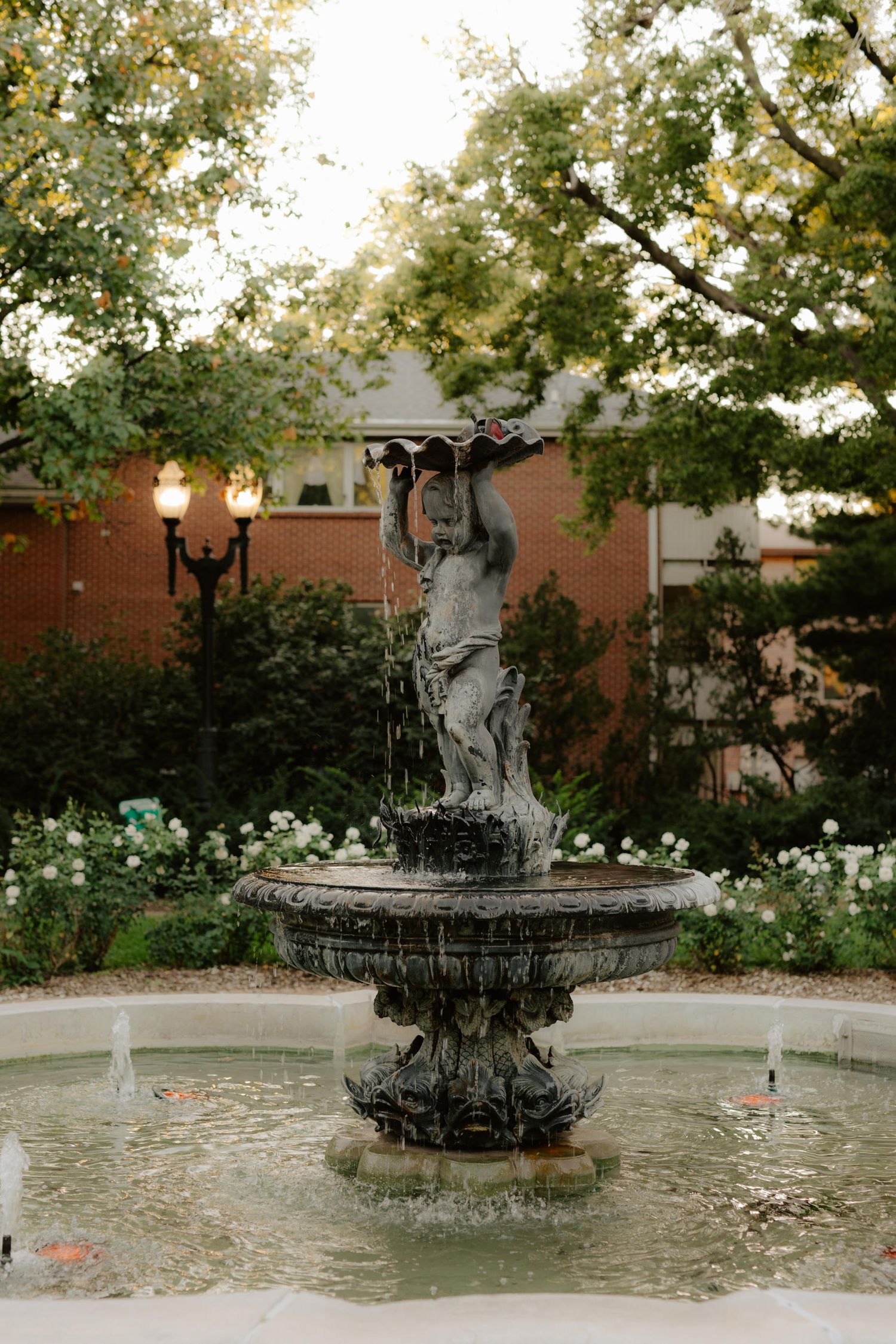 hazel abel, hazel abel lincoln ne, proposal inspo, proposal ideas, proposal lincoln ne, proposal photos lincoln ne, irin