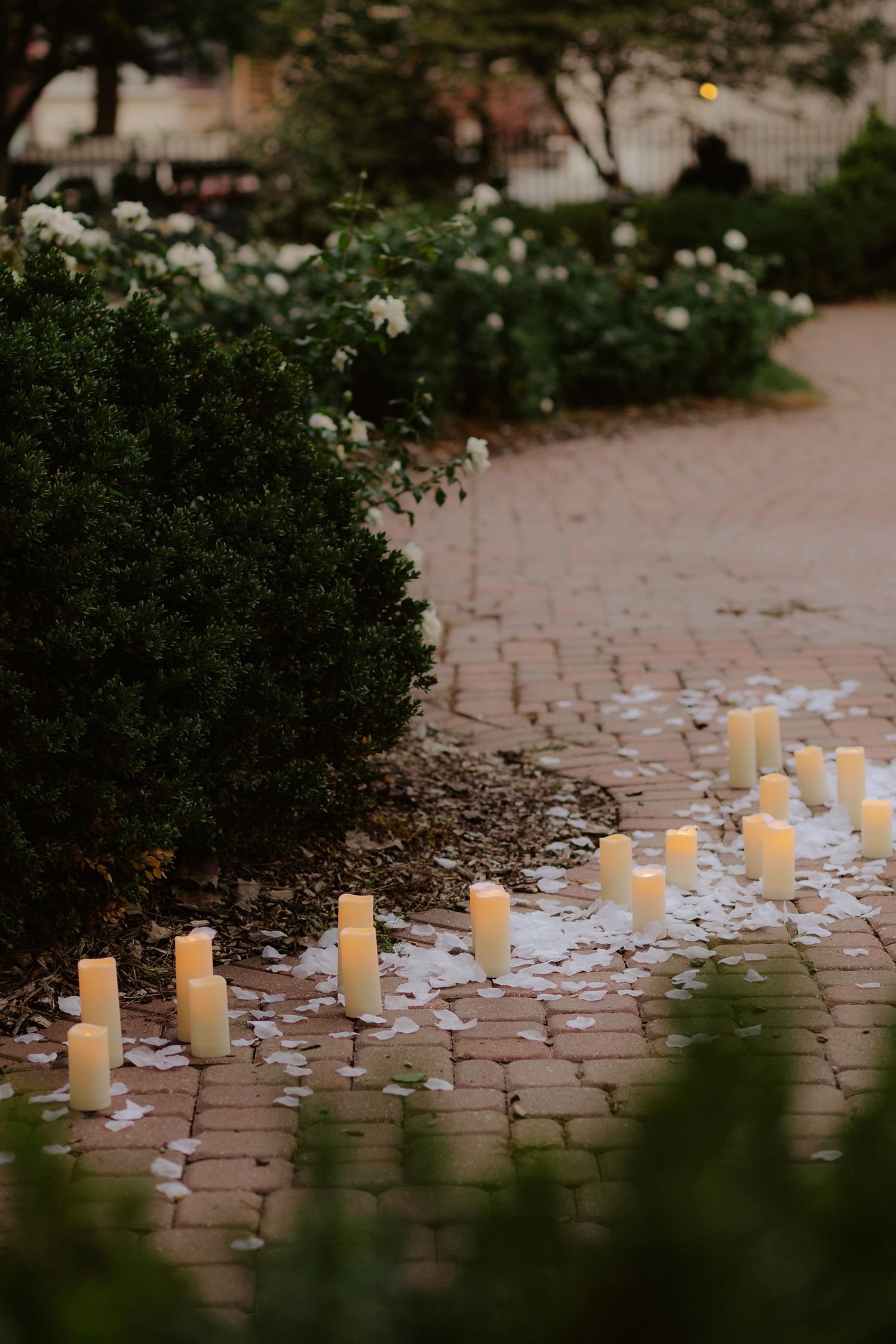 Romantic candlelight proposal at Hazel Abel Park in Lincoln, NE. The perfect intimate setting for a surprise engagement!