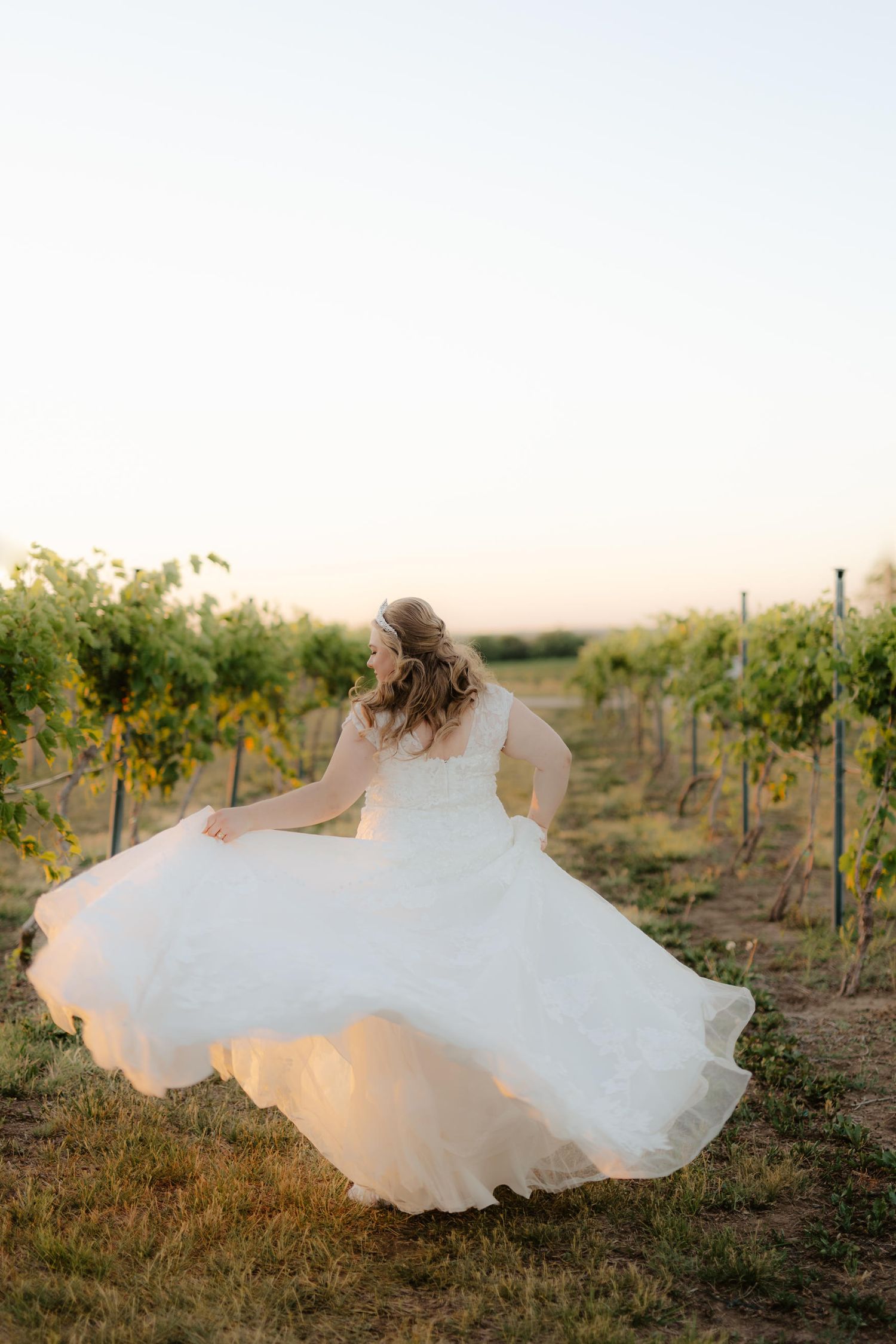 capitol view winery, vineyard nebraska, vineyard wedding photos, vineyard wedding, nebraska winery, nebraska vineyard, l
