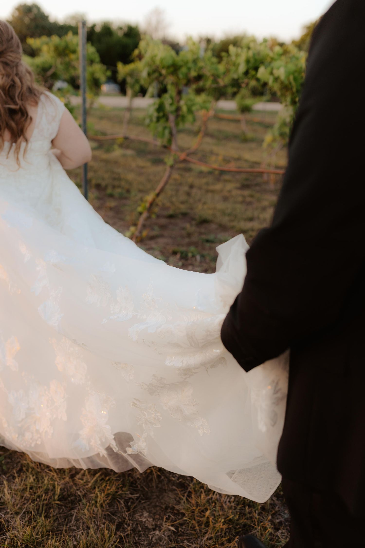 capitol view winery, vineyard nebraska, vineyard wedding photos, vineyard wedding, nebraska winery, nebraska vineyard, l
