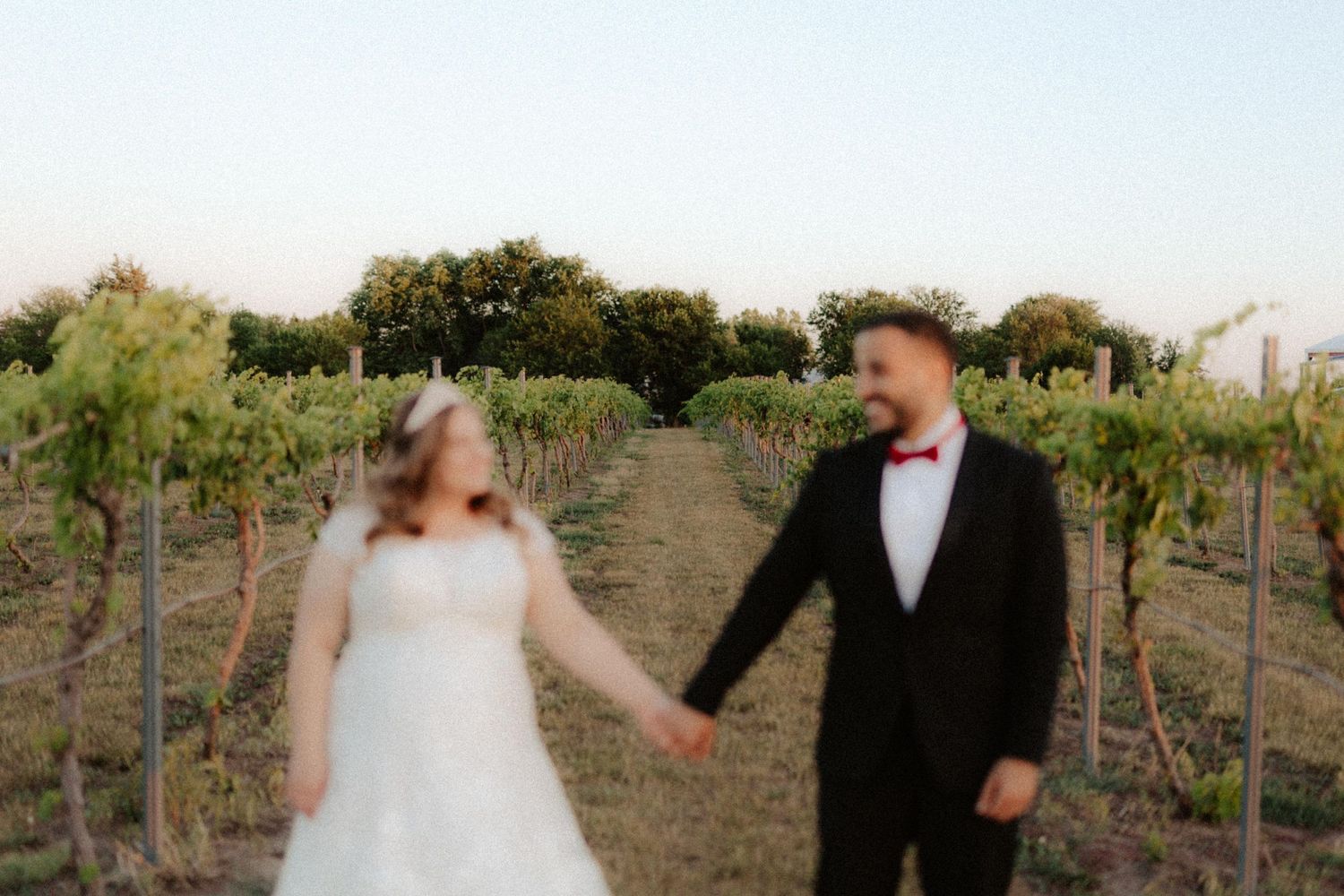 capitol view winery, vineyard nebraska, vineyard wedding photos, vineyard wedding, nebraska winery, nebraska vineyard, l