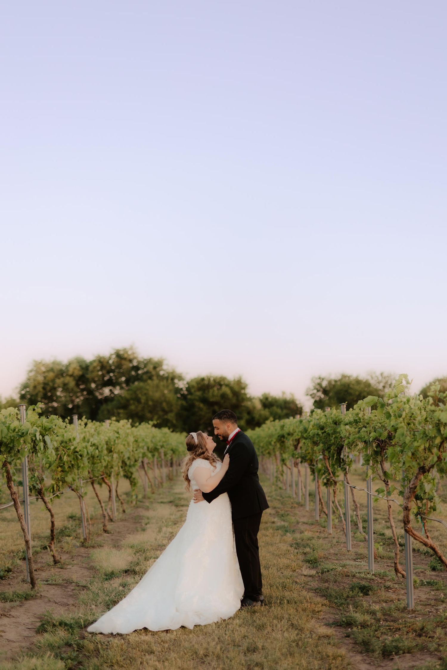 capitol view winery, vineyard nebraska, vineyard wedding photos, vineyard wedding, nebraska winery, nebraska vineyard, l