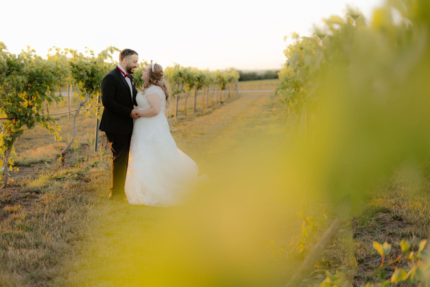 capitol view winery, vineyard nebraska, vineyard wedding photos, vineyard wedding, nebraska winery, nebraska vineyard, l