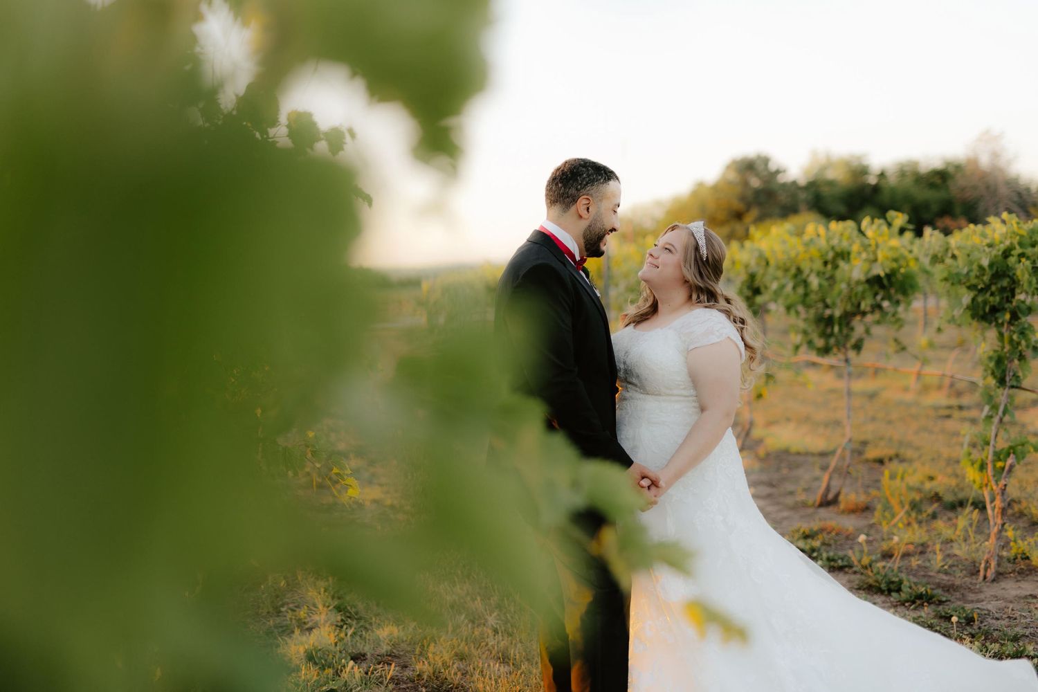 capitol view winery, vineyard nebraska, vineyard wedding photos, vineyard wedding, nebraska winery, nebraska vineyard, l