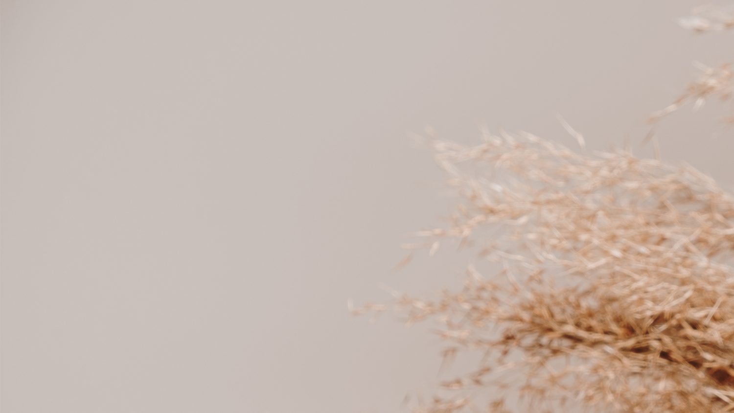Abstract beige and brown textured background with organic shapes.