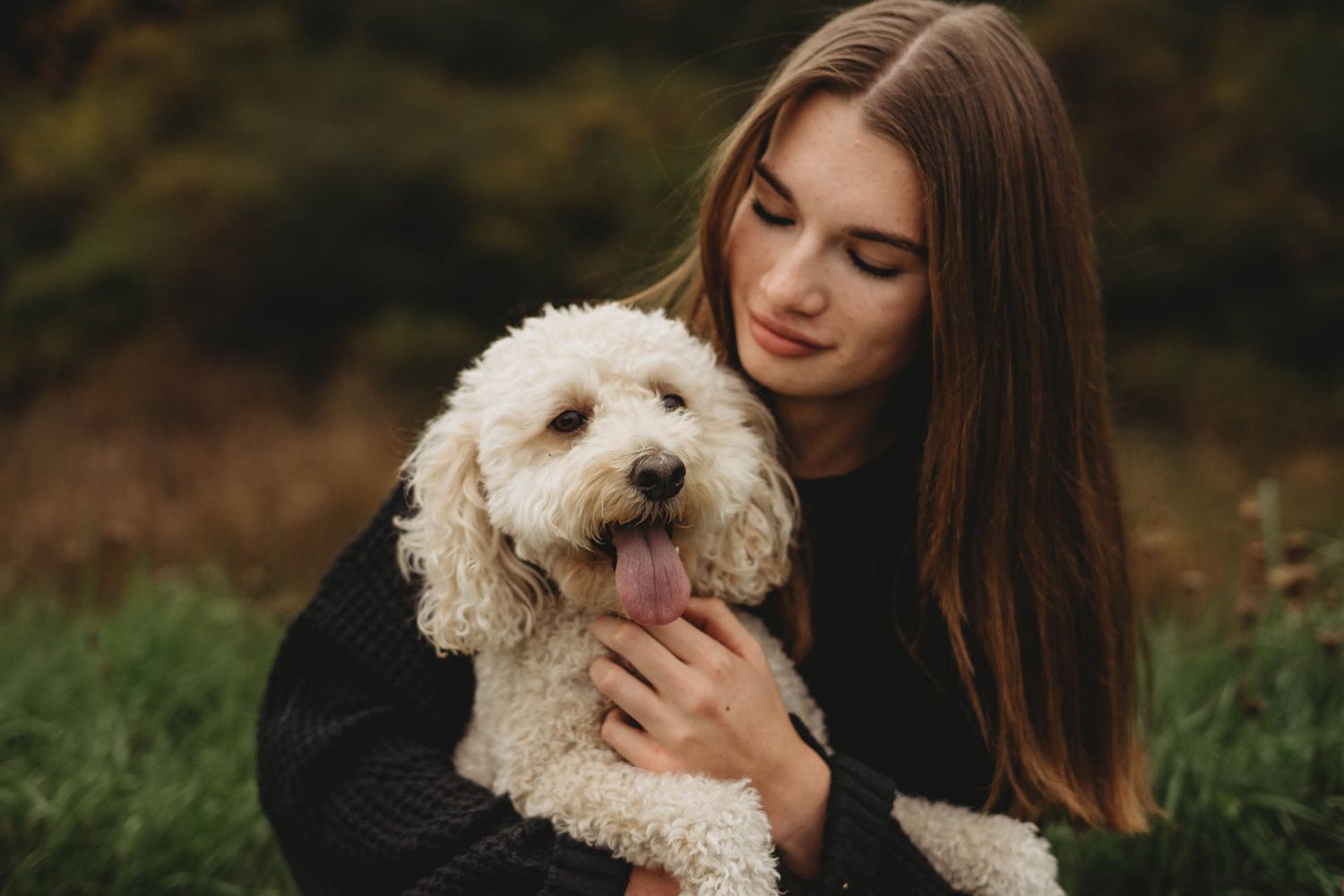 A fluffy white Goldendoodle dog being hugged and petted while sitting in green grass.