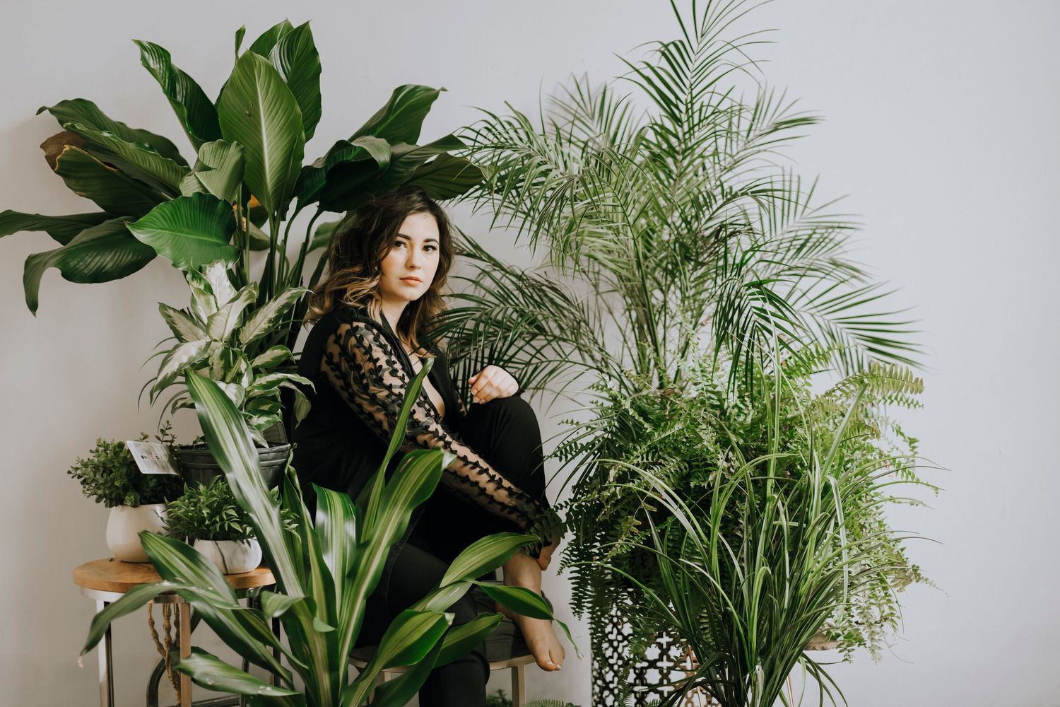 A person in black clothing sits surrounded by lush indoor plants and palms.