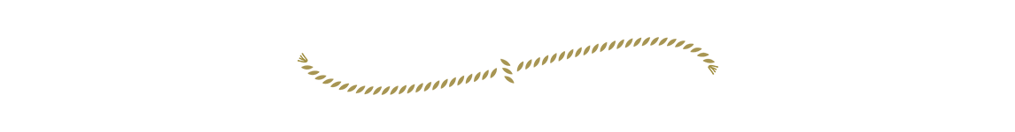 Gold snake-like chain or bracelet isolated on black background.