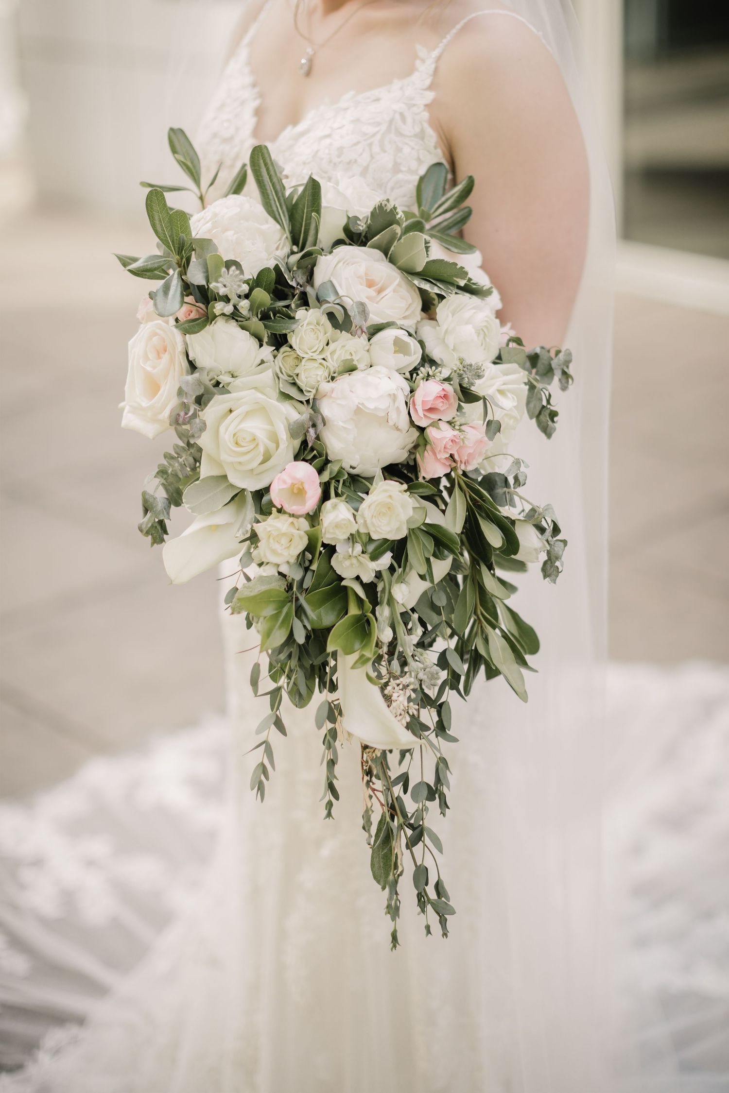 Knoxville Photographer, Knoxville Wedding Photographer, Tennessee Photographer