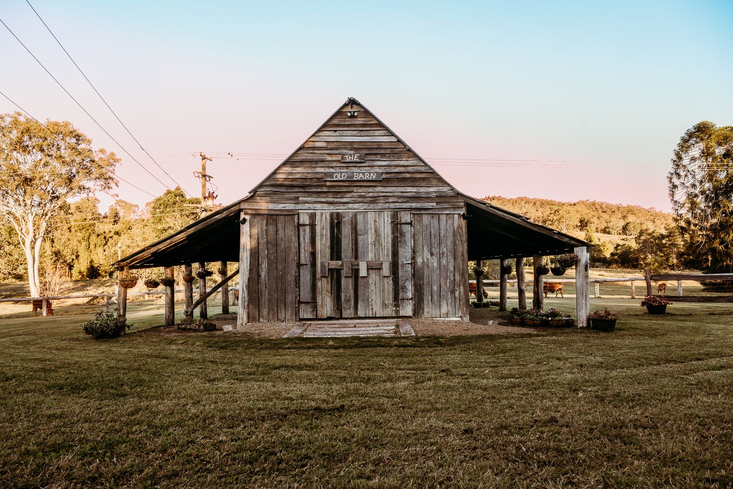 Rustic wooden barn with weathered siding and open-air wings stands in a grassy field at sunset.