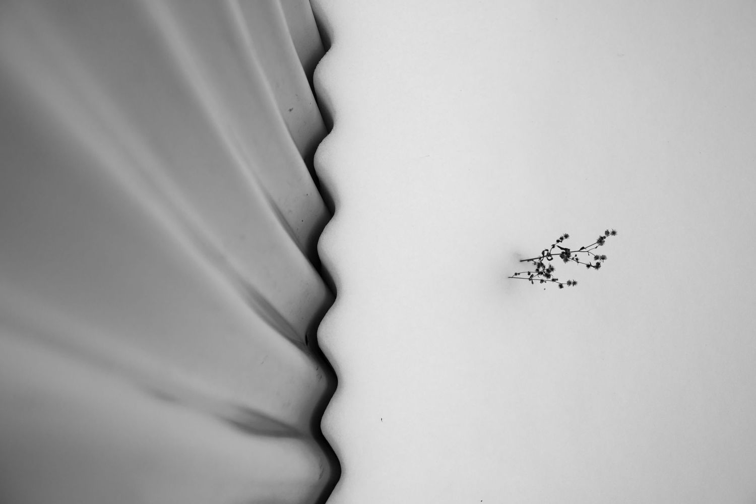 Minimalist black and white photo of textured fabric edge against light background.