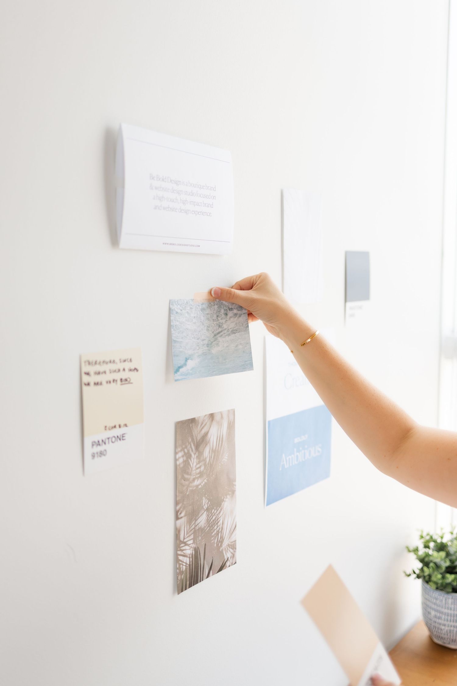 Home Desiree Hayes Photography