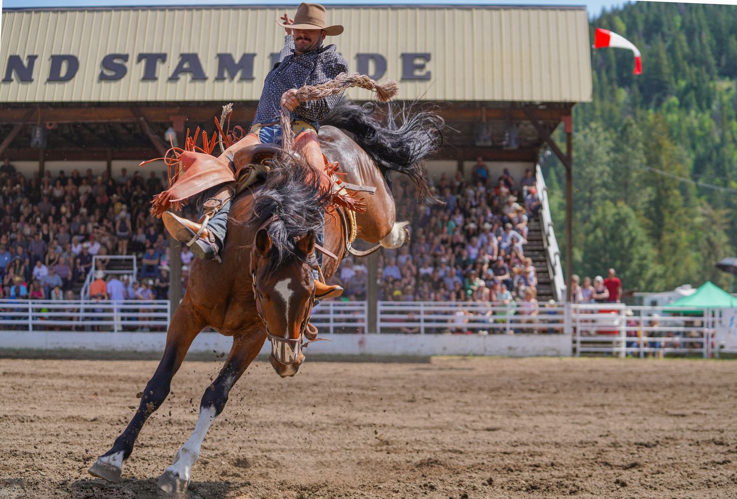 Central Alberta Rodeo Photographer
