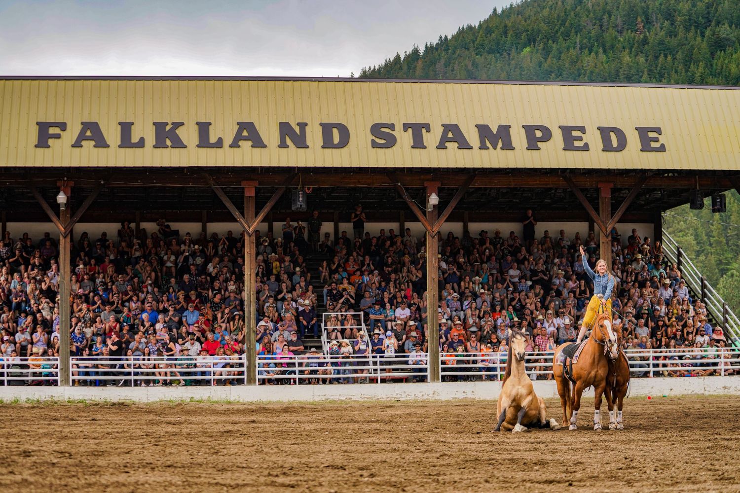 Central Alberta Rodeo Photographer