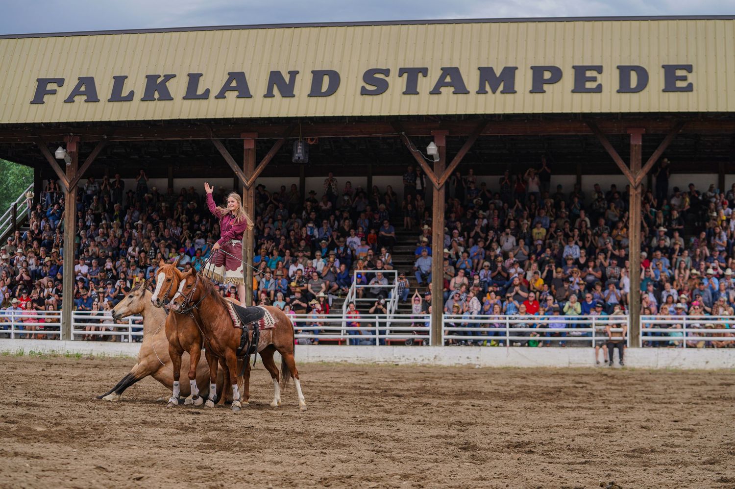 Central Alberta Rodeo Photographer