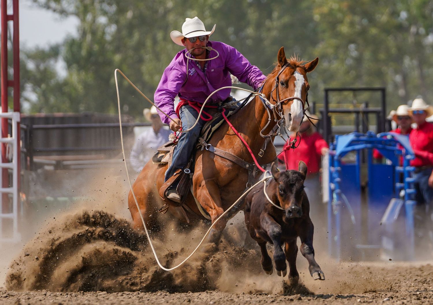 Central Alberta Rodeo Photographer