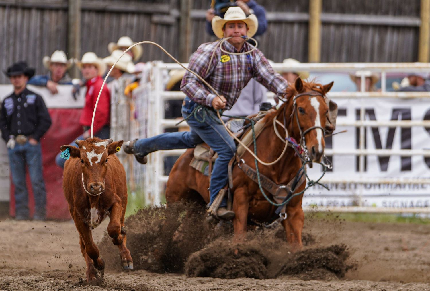 Central Alberta Rodeo Photographer