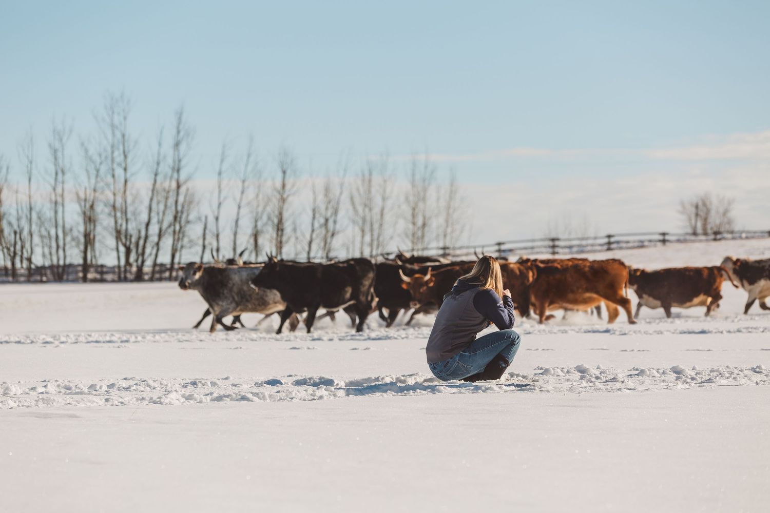 Central Alberta Rodeo Photographer