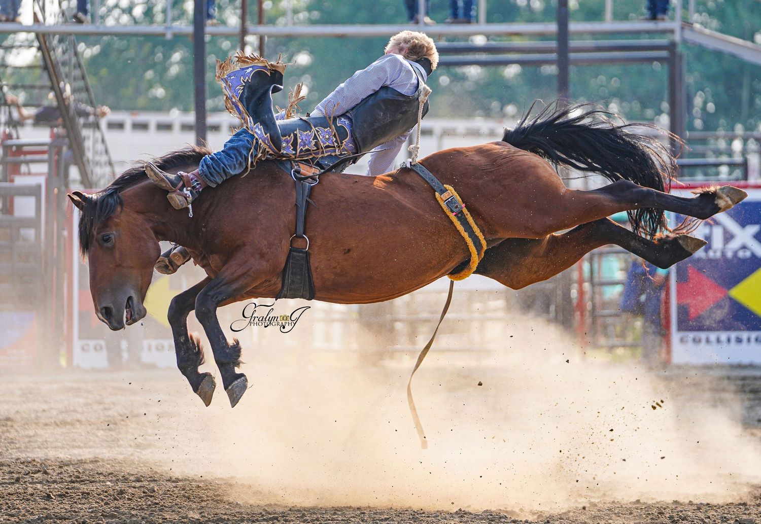 Central Alberta Rodeo Photographer