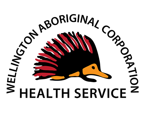 Aboriginal health service organization logo with stylized echidna design.