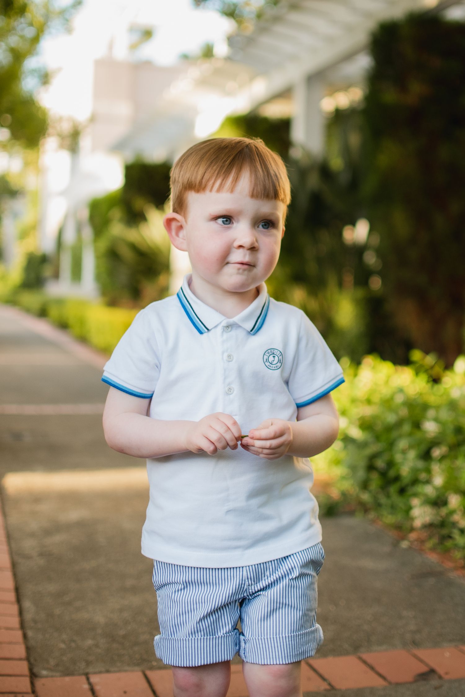 Toddlers photography sessions