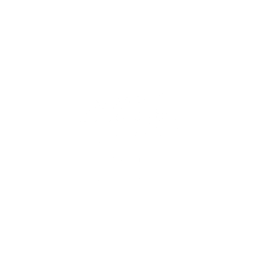 White logo design for 'The Storyteller Magazine' featuring a tree silhouette motif.