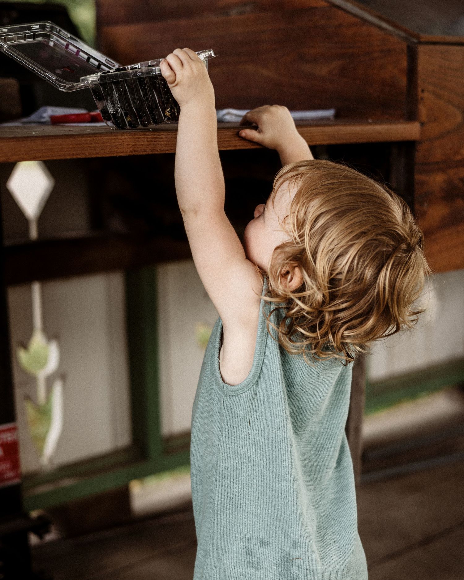 small child on tiptoes reaching up to a high counter