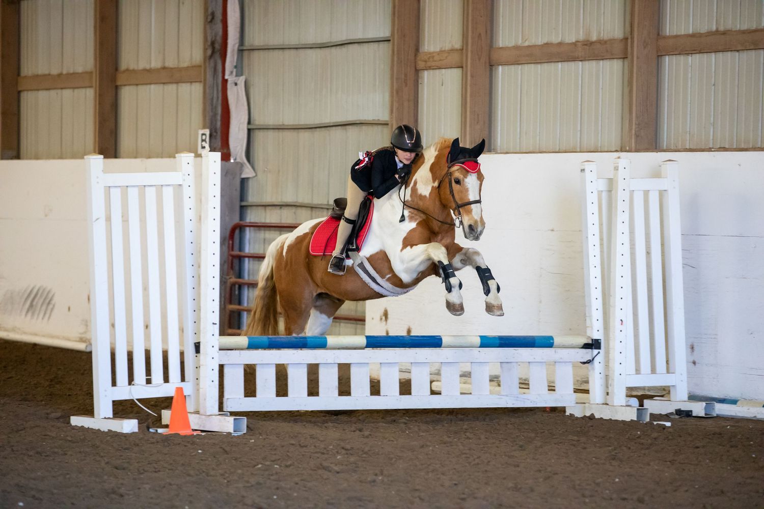 Show jumper and horse clearing white fence obstacle in indoor arena.