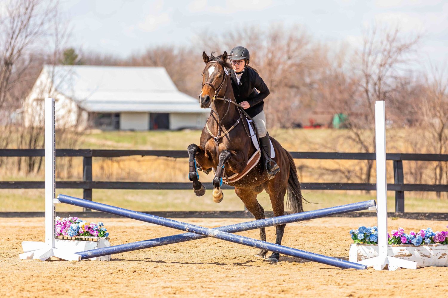 Horse and rider leaping over colorful jumping poles in outdoor arena during competition.