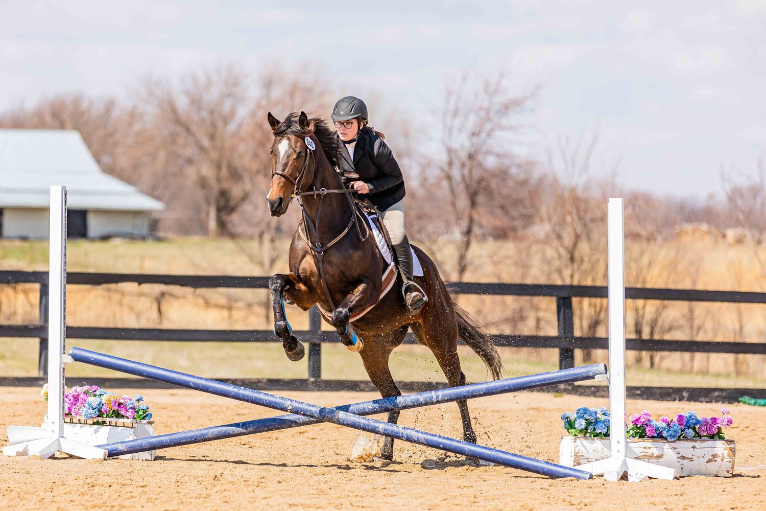 Horse and rider clearing colorful jumping poles in outdoor arena.