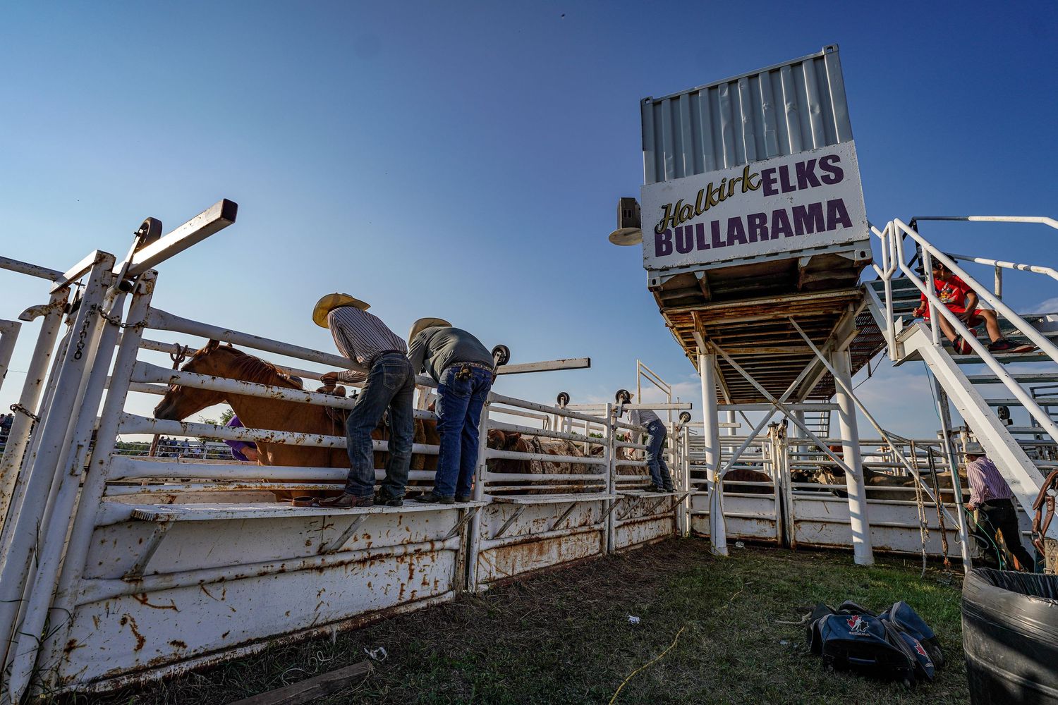 Central Alberta Rodeo Photographer