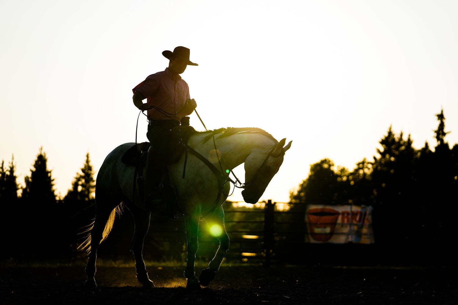 Central Alberta Rodeo Photographer