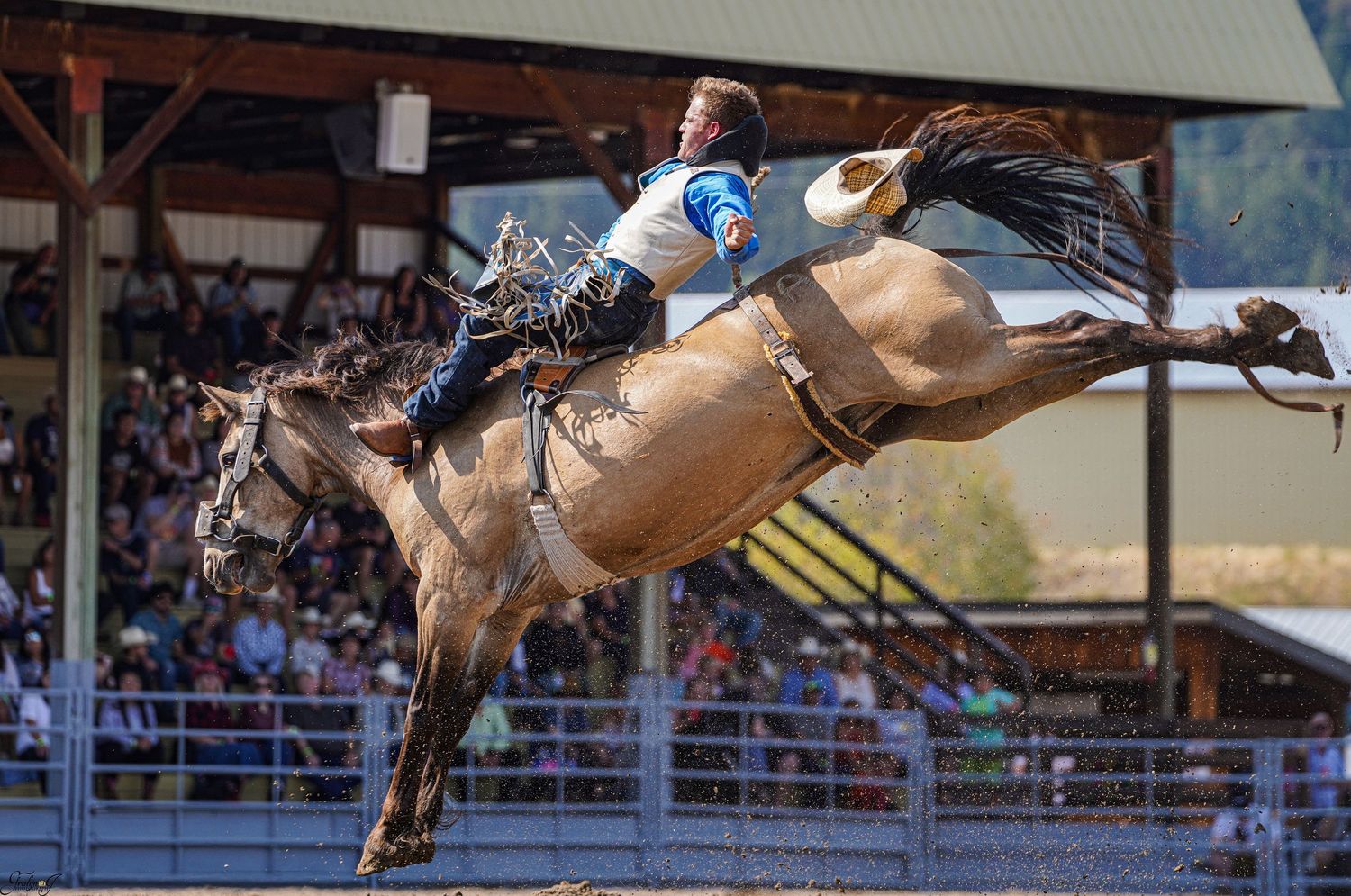 Central Alberta Rodeo Photographer