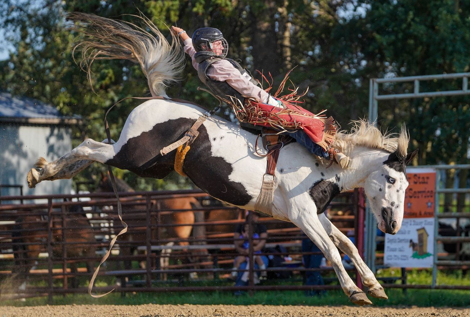 Central Alberta Rodeo Photographer